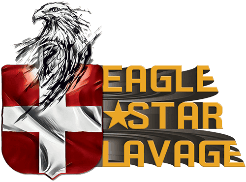 Logo Eagle Star Lavage